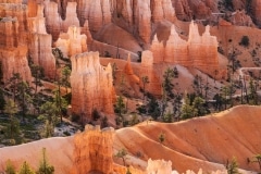 MORNING HOODOOS