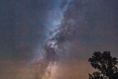 ANCIENT BRISTLECONE WAY