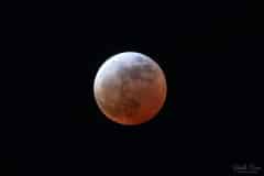 MARCH 2025 LUNAR ECLIPSE - RENO VERSION