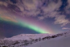 2136 - NORTHERN LIGHTS - SKARSFJORD #2136