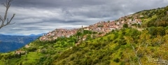 ARACHOVA